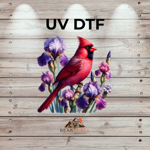July 24th - Live Sale - 5" UVDTF #37