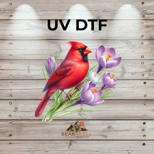 July 24th - Live Sale - 5" UVDTF #42