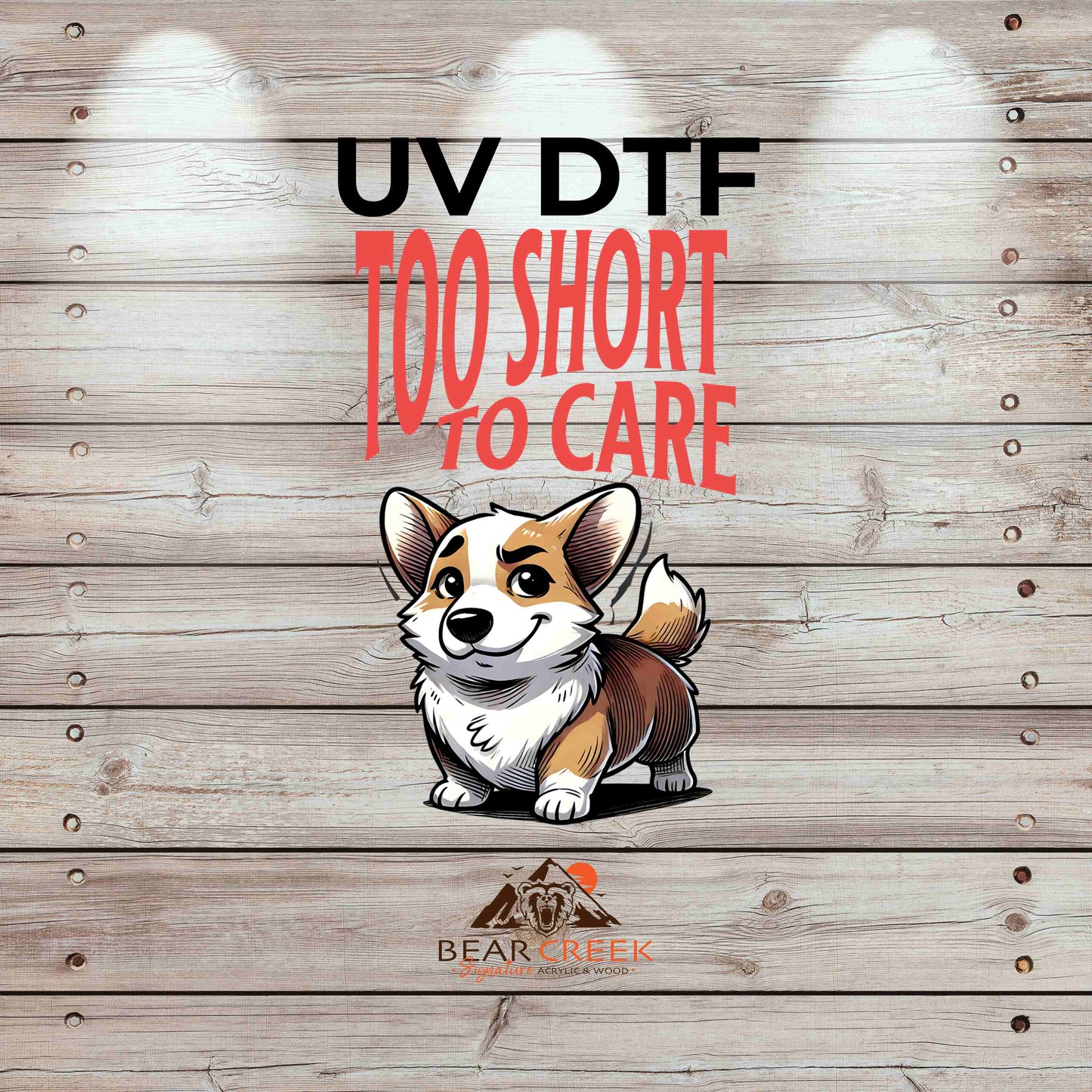 Too Short To Care 4.5-inch permanent sticker #BCS30 (NEW)
