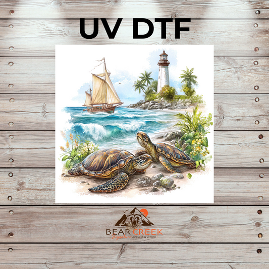 Turtle 5" - #43 (3)