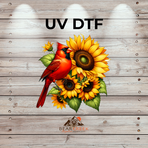 July 24th - Live Sale - 5" UVDTF #39